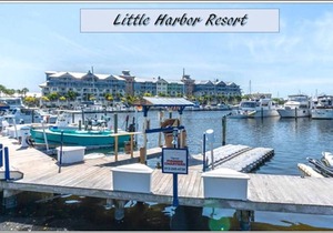 Beautiful one bedroom resort-style studio with pool and beach access...