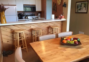 Beautiful Petoskey Condo in Trout Creek - Minutes from Nubs & Boyne Highlands!