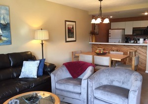 Beautiful Petoskey Condo in Trout Creek - Minutes from Nubs & Boyne Highlands!