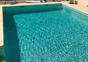 Beautiful renovated provencal villa in Roquefort les Pins