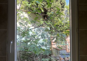 Beautiful, Spacious, 1 Bedroom Apt in Cannes