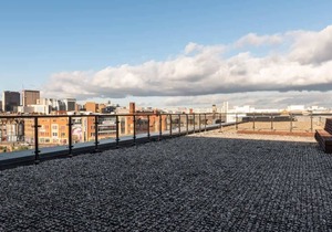 Beautiful & Stylish 1 Bed Apartment in Birmingham