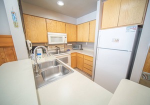 Beautiful Unit with lake views and a free shuttle