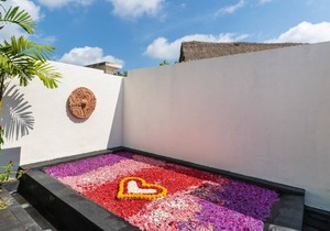 Beautiful Villa in the middle of rice fields