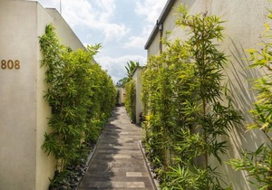 Beautiful Villa in the middle of rice fields