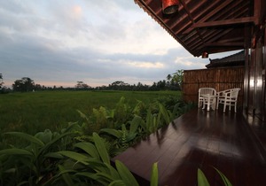 Beautiful Villa overlooking to Rice Field
