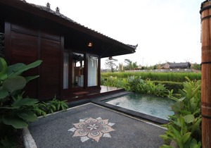 Beautiful Villa with Private Pool overlooking to Rice Field
