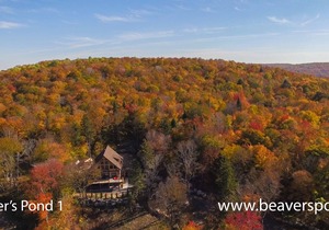 BEAVERS POND I ,RUSTIC COTTAGE WITH WATERFRONT VIEW