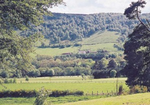 Beechwood Cottage
