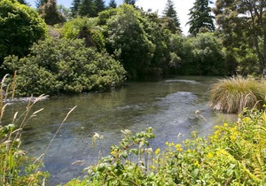 Bellbird Cottage - Lake Taupo Bach in Waitahanui
