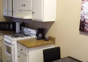 Bellevue J · Joyful & Cozy Apartment in Midtown Tucson!