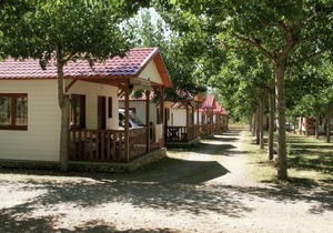 Belvilla by OYO Vakantiepark IsÃ¡bena 4