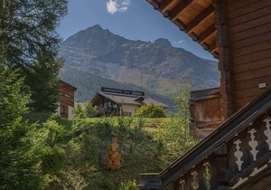 Bergfink by Interhome
