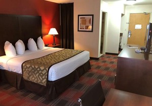 Best Western Dallas Inn & Suites