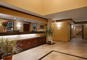 Best Western Intracoastal Inn