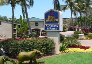 Best Western Naples Inn & Suites