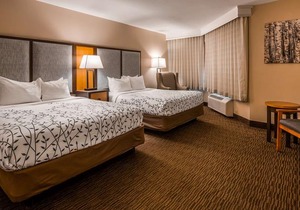 Best Western of Birch Run/Frankenmuth