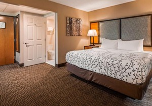 Best Western of Birch Run/Frankenmuth