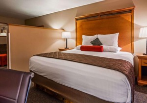 Best Western Rory & Ryan Inns