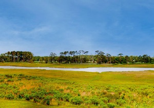 Bethany Bay 3rd floor condo w/ golf on-site, tennis court, and more!