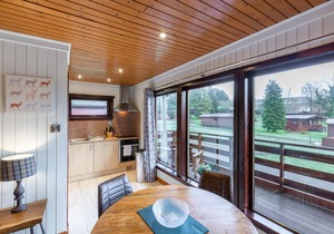 Birch Lodge 14 with Hot tub Newton Stewart