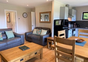 Birch Lodge 21 with Hot Tub Newton Stewart