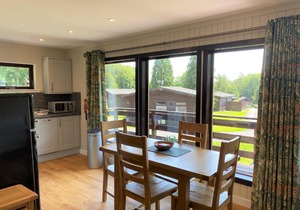 Birch Lodge 21 with Hot Tub Newton Stewart