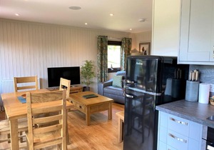 Birch Lodge 21 with Hot Tub Newton Stewart