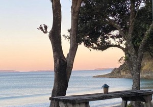 Bliss on the Beach - Whangapoua