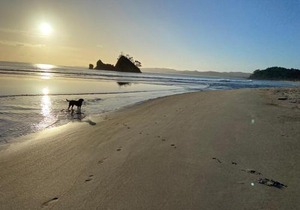 Bliss on the Beach - Whangapoua