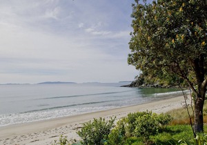 Bliss on the Beach - Whangapoua, WHANGAPOUA