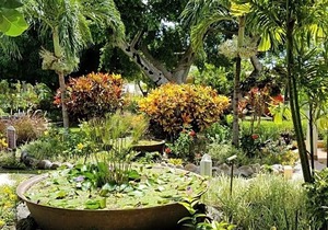 Blue Horizons Garden Resort