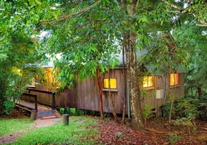 Blue Wren Cottage: Mt Glorious Getaways