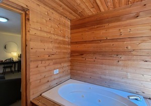 BookStayHop - #1 Lodge Room 4 ~ Green Springs Inn ~ Jacuzzi Bathtub~ Dog Friendl