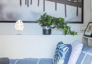 Boutique Private Room In Kingsford Near UNSW, Light Railway&Bus 1s - ROOM ONLY
