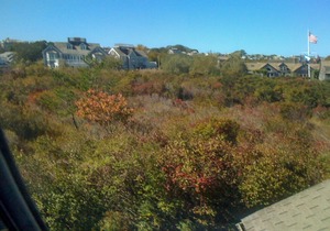 Brant Point Beach House, 5 Bed, 2 blocks from 2 beaches, walk to town