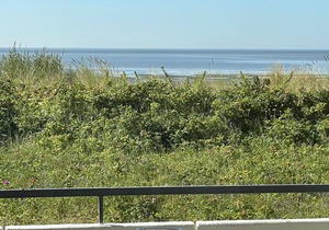 Breakfast in the morning sun on the south-facing balcony with a magnificent sea view - vacation f