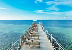 Breathtaking Ocean Views! 3 Trendy Units, On-Site Dining, Near Jackson Square!