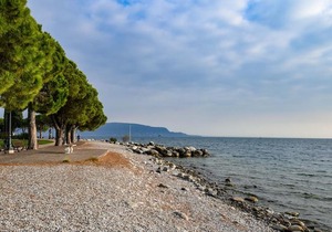 Breeze of Lake