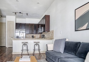 Bright Bouldin Creek 1BR w/ Gym, Pool & W/D, nr downtown, by Blueground