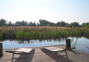 Bright, cheerful apartment with piano in the heart of East Friesland