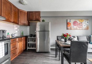 Bright & Cozy 1BR Apt with Netflix -Near Downtown