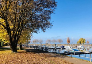 Bright Holiday Apartment “Bregenz 8 Top 1” with Wi-Fi, Terrace & Garden