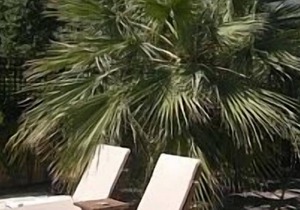 Bungalow With Pool, Mountain And Sea Views, AC, secure WIFI. 10 meter pool.