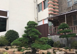 Busan Station Dino Hotel