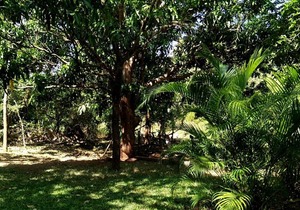 By Paris hostel and guest house