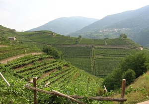 Ca' Ada