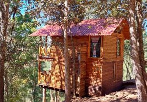 Cabaña en el Bosque de San José del Pacífico 3