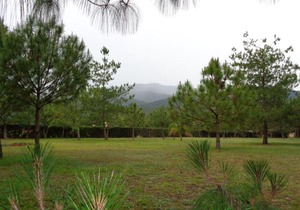 Cabañas Paseo Del Llano 2
