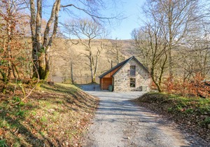 Cabin ∙ 1 bedroom ∙ 2 guests